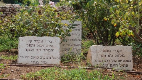גן גיא (3).jpg
