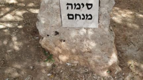גן לזכר סימה מנחם (1).jpg