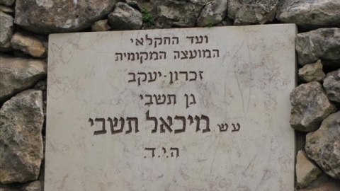 גן תשבי (2).jpg
