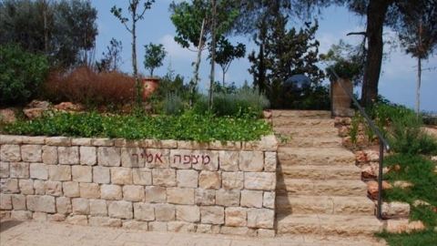 מצפור אמיר (1).jpg