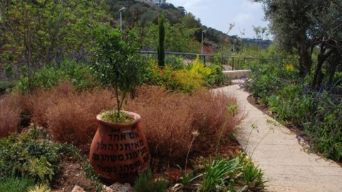 מצפור אמיר (3).jpg