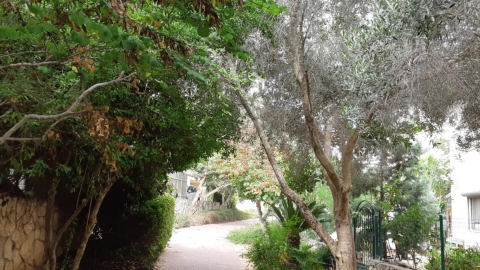 אנדרטה לזכרו של מתניה ברלב (2).jpeg