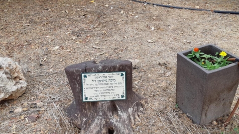 אנדרטה לזכרו של מיכה גולדמן (2).jpeg