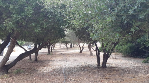 אנדרטה לזכרו של מיכה גולדמן (3).jpeg