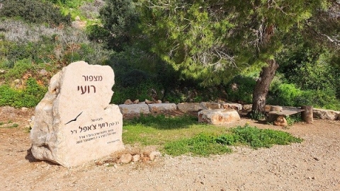 מצפור רועי צאפל.jpg