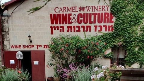 מרכז תרבות היין של יקבי כרמל (2).jpg