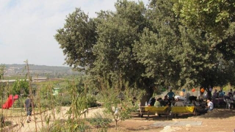 גן אהוד אפרתי (1).jpg