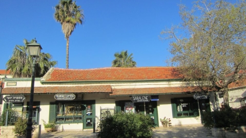 דרך היין (2).jpg
